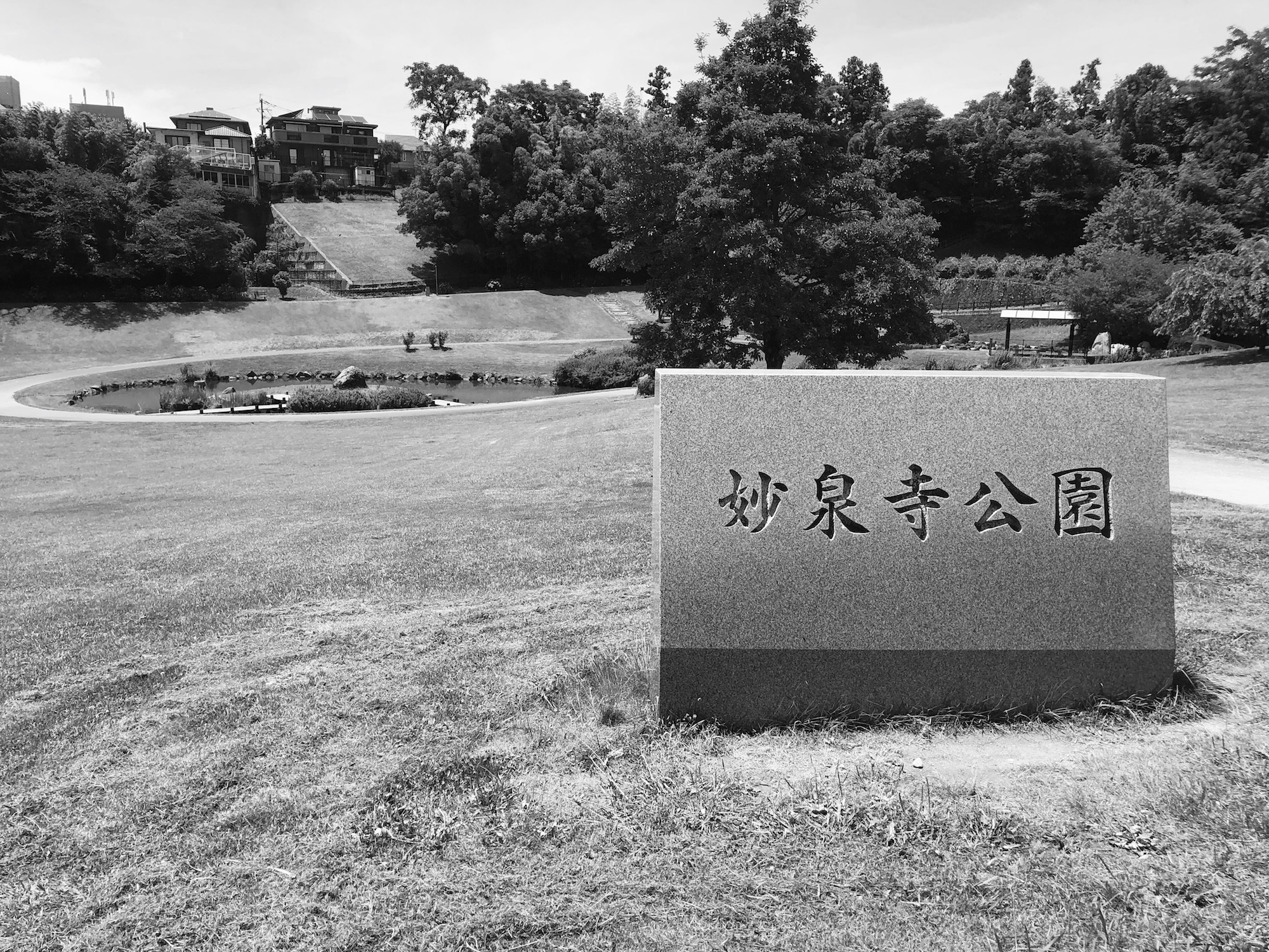 サイトーの人生横すべり「妙泉寺公園の呪い」EP152